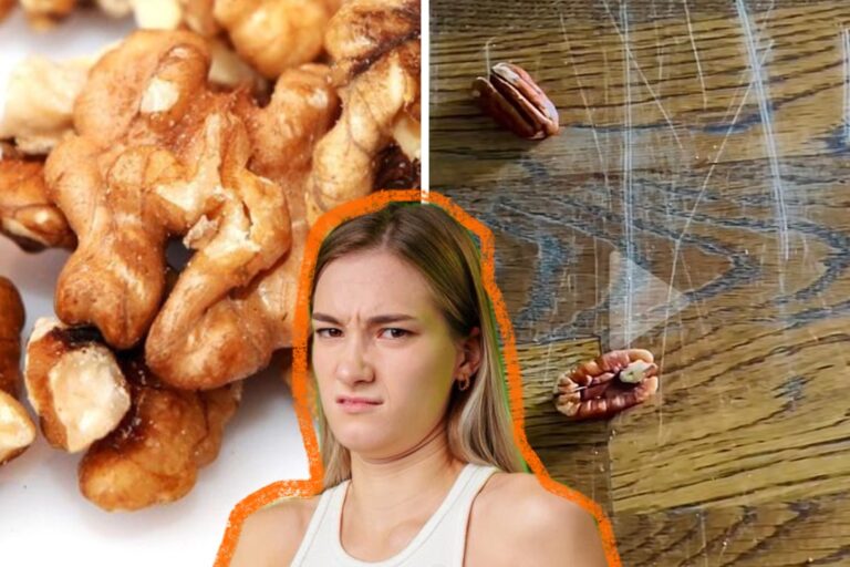 laminat oreh.png laminat oreh